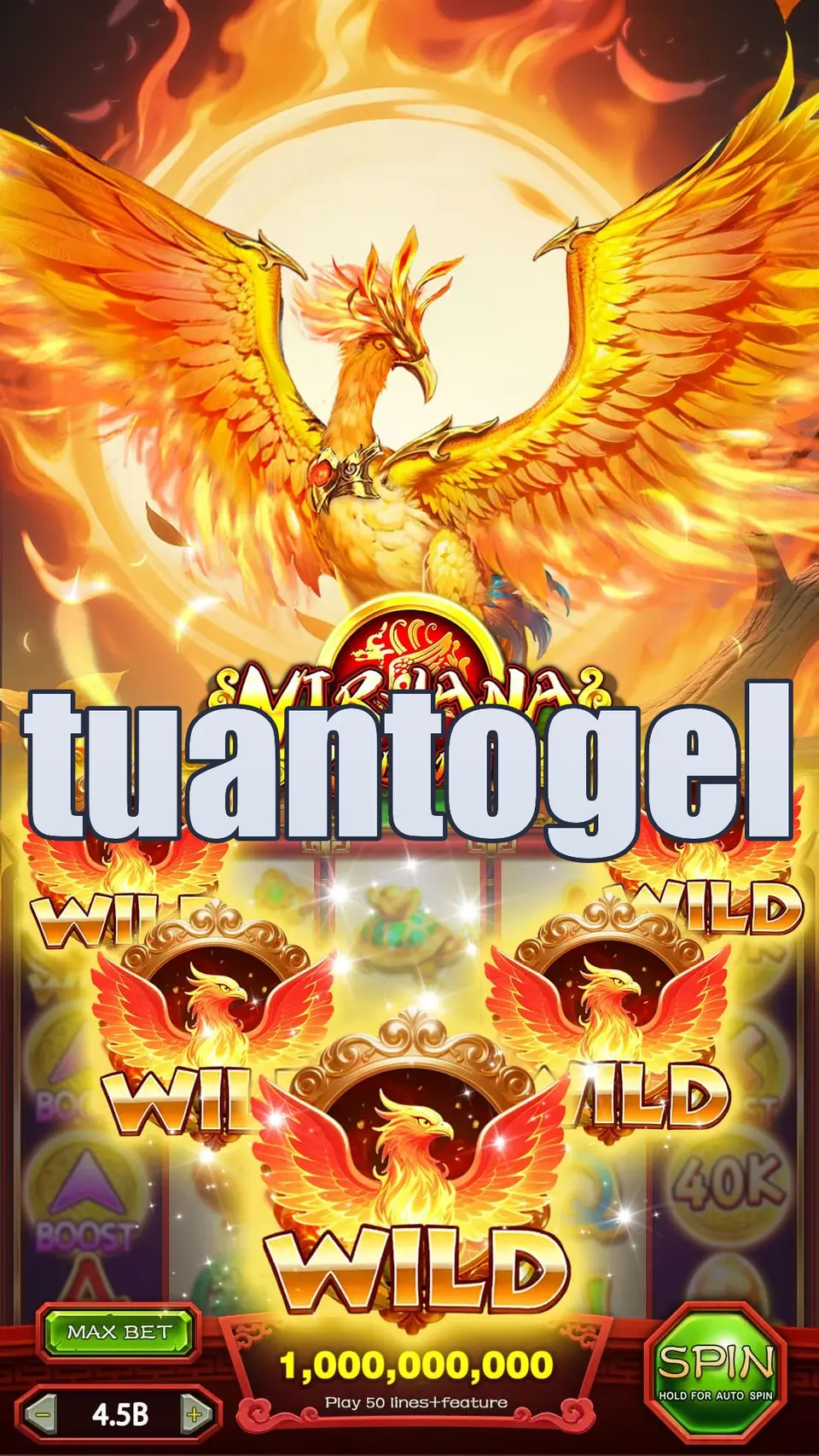 tuantogel Masuk